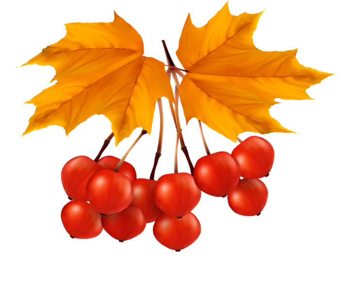 22.webp