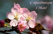 Друзья! С Днем весны и труда!