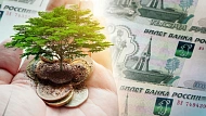 Новые штрафы по экологии от 1 000 до 1 000 000 рублей