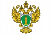 В 2024 году оснований для прокурорских проверок может стать больше