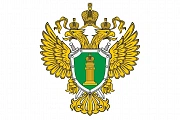 План проверок 2019